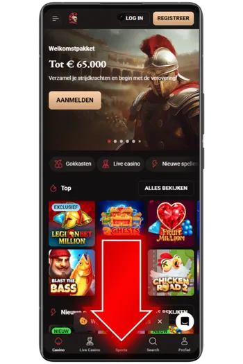 Gebruiker opent de officiële site in een Android-browser